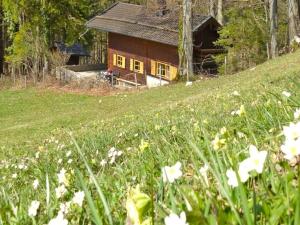 Annamirl Alm am Samerberg Almhütte am Samerberg mieten